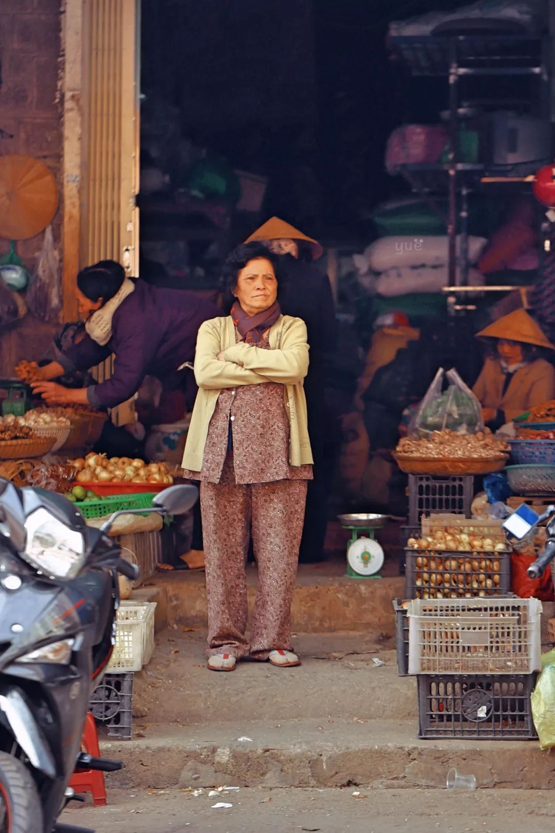 【yue游记】有空去越南大叻街市买几斤花吧~
