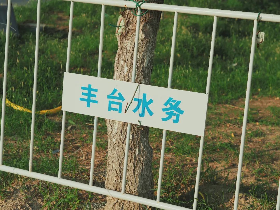 游记 | 在京南废弃公园的午后