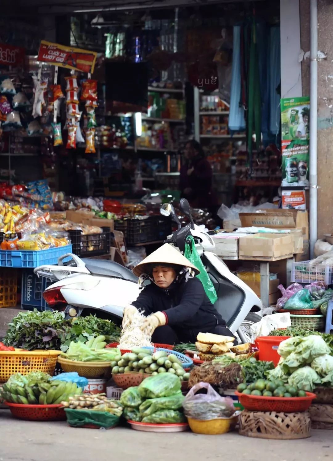 【yue游记】有空去越南大叻街市买几斤花吧~