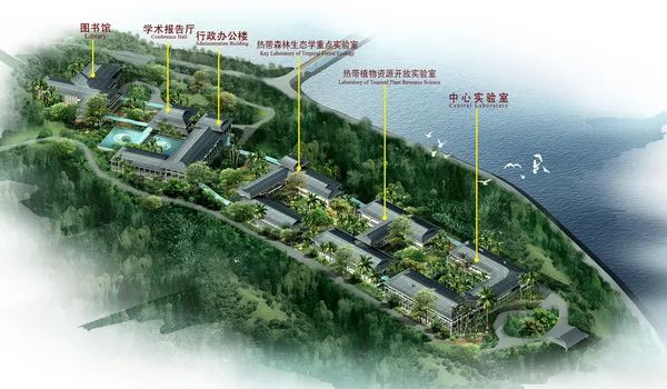 丽江是温柔,是浪漫,西双版纳就是一眼万年