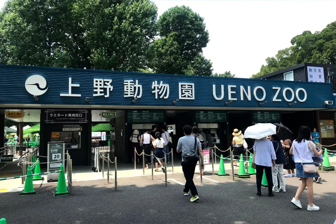 东游记(四)——拉面和动物园