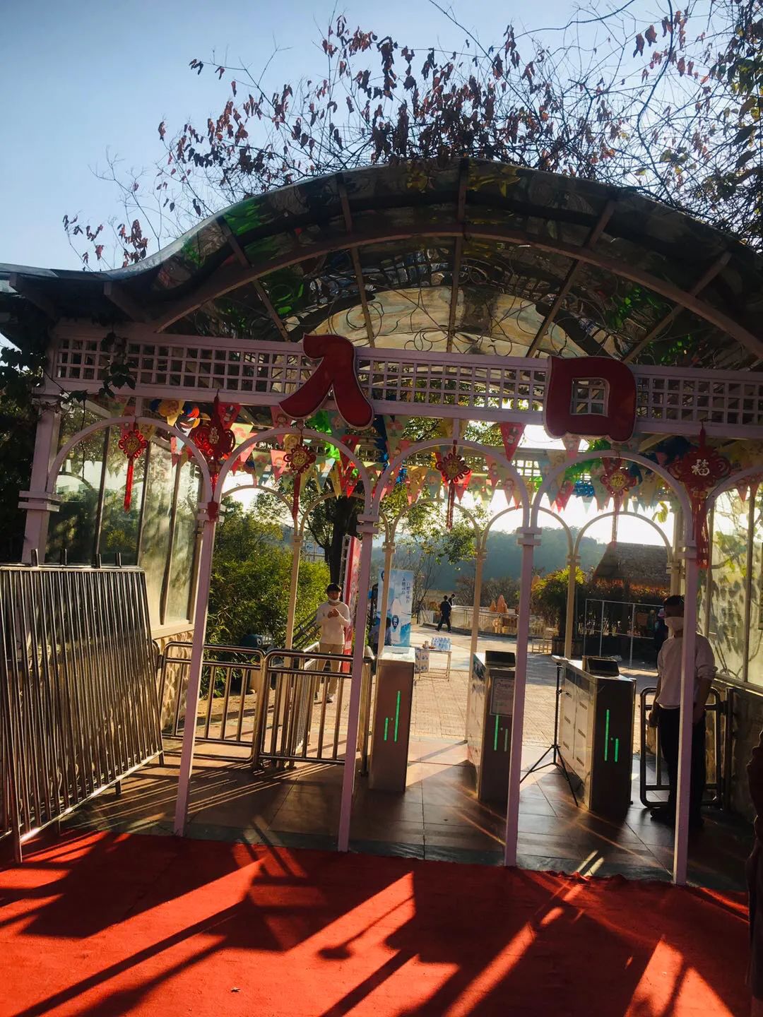 游记丨惠州旅游年卡第二站:鲁冰花童话园