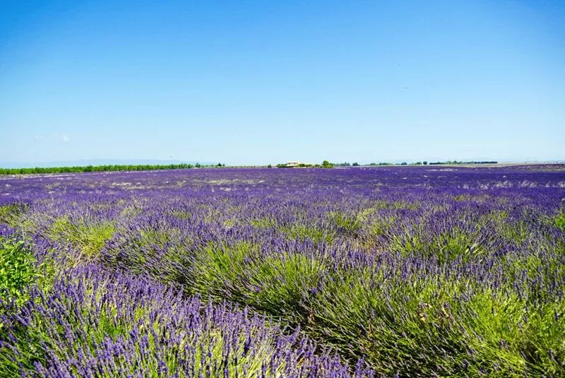 Scenery of Southern France~Provence