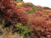石家庄平山银河洞旅游攻略 之 红叶区
