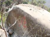 平度大泽山风景区旅游攻略 之 祈福石