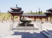 宁夏中华黄河坛旅游攻略 之 神龟