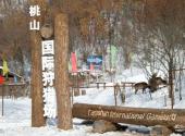 黑龙江桃山桃源湖旅游区旅游攻略 之 猎场