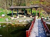 绵阳北川药王谷旅游攻略 之 亭台