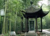 杭州西湖风景名胜区旅游攻略 之 云栖坞