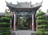铜川药王故里旅游攻略 之 杏林