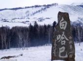 新疆喀纳斯景区旅游攻略 之 白哈巴国家森林公园