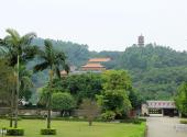 广州南沙天后宫旅游攻略 之 绿树