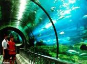 秦皇岛新澳海底世界旅游攻略 之 海底隧道