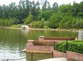 佛山三水森林公园旅游攻略 之 鸳鸯湖