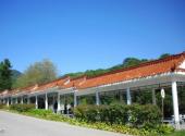 吉林朱雀山国家森林公园旅游攻略 之 长廊
