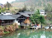 婺源晓起村旅游攻略 之 生态村