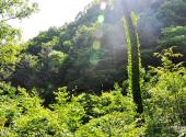 洛阳栾川老君山景区旅游攻略 之 追梦谷