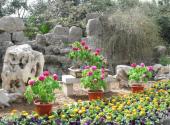 洛阳西苑公园旅游攻略 之 植物展览区