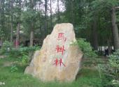 驻马店老乐山景区旅游攻略 之 马褂林