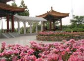 洛阳市中国国花园景区旅游攻略 之 欧阳修碑广场