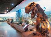 大连自然博物馆旅游攻略 之 恐龙展厅