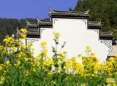江西婺源风景区旅游攻略 之 建筑