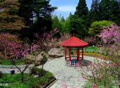 江西庐山风景名胜区旅游攻略 之 花径公园