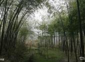 河南薄山湖风景区旅游攻略 之 翠竹溪