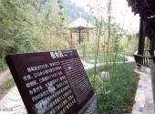 平昌驷马水乡旅游区旅游攻略 之 竹子植物园