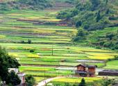 福建培田古村旅游攻略 之 田园风光