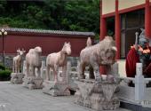 大连莲花山寺旅游攻略 之 石兽