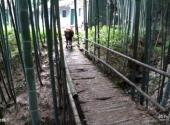 遵义大板水国家森林公园旅游攻略 之 竹桥