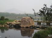 大连前关城市中央湿地公园旅游攻略 之 怪石