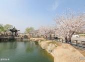 滨州邹平樱花山风景区旅游攻略 之 五湖两溪水系