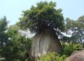 福建九候山风景区旅游攻略 之 花瓶石