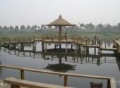 大连前关城市中央湿地公园旅游攻略 之 木桥