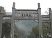 丽水千丝岩旅游攻略 之 山门