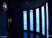 青岛水族馆旅游攻略 之 水母分布图