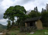 福州凤凰山旅游攻略 之 福源村