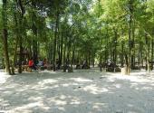 广西贺州姑婆山旅游攻略 之 情人林