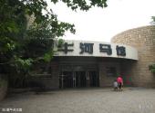 北京动物园旅游攻略 之 犀牛河马馆