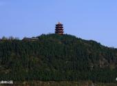 广元苍溪红军渡·西武当山景区旅游攻略 之 西武当山森林公园