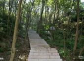 青岛琅琊台风景区旅游攻略 之 秦御路