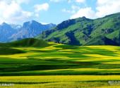 祁连山风光旅游区旅游攻略 之 祁连山草原