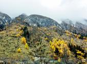 阿坝毕棚沟风景区旅游攻略 之 森林