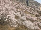 邢台九龙峡旅游攻略 之 桃花岭
