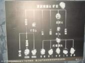 大同煤矿展览馆旅游攻略 之 日军管理系统图表