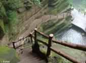 雅安碧峰峡旅游攻略 之 滴水栈道