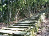 婺源文公山旅游攻略 之 千年古驿道