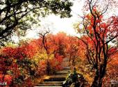 三门峡甘山国家森林公园旅游攻略 之 秋之景